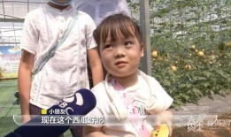 吃瓜巨星卓不凡免费阅读,吃瓜巨星免费阅读之旅